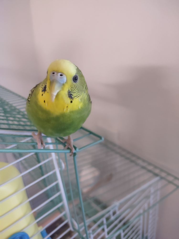 PET DEPOT LA VERNE 74 Photos & 109 Reviews 1941 Foothill Blvd, La