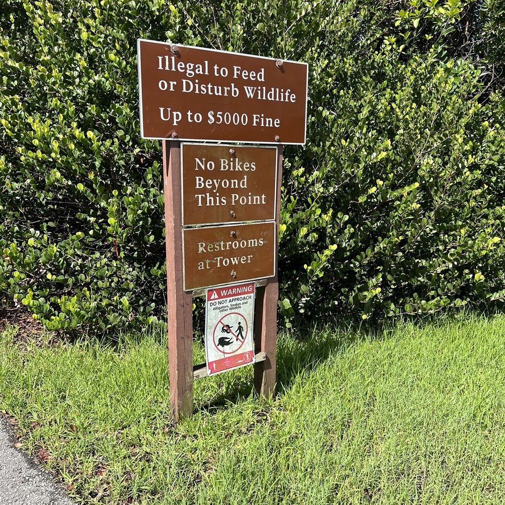 Shark Valley Tram Tours - Tours Near Me - Miami, Florida
