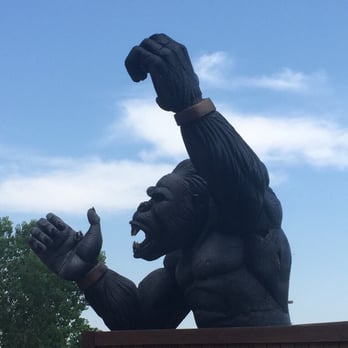Putter's Pride - Kong! - Mini Golf Near Me - Denver, Colorado