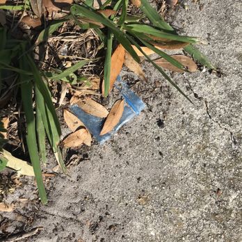 Clear Lake Park - Parks Near Me - Orlando, Florida