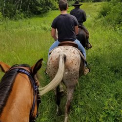 Wild Acres Game Farm