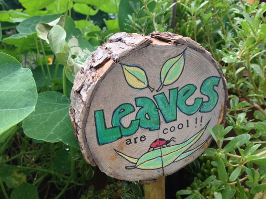 The Greening of Detroit - Lafayette Greens by null