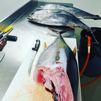Elite Fish Processing - two fish on a cutting board - Seafood Markets Near Me Elite Fish Processing - two fish on a cutting board - Seafood Markets Near Me