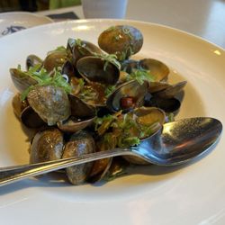 Koganei Japanese Seafood Restaurant - Spicy clam
