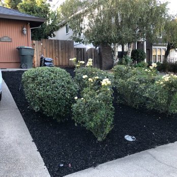 Elite Lawn and Yard Care - a car parked in front of a house - Gardeners Near Me