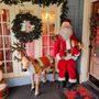 Photo of Perky Pelican Christmas Shoppe