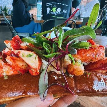 Lobster Lab - Sandwiches Near Me - Carlsbad, California Lobster Lab - Sandwiches Near Me - Carlsbad, California