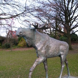 Bürgerpark