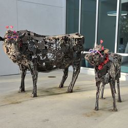 BayCare Outpatient Imaging - Bloomingdale - Cows dressed up for Valentine's Day at BayCare Bloomingdale Hub