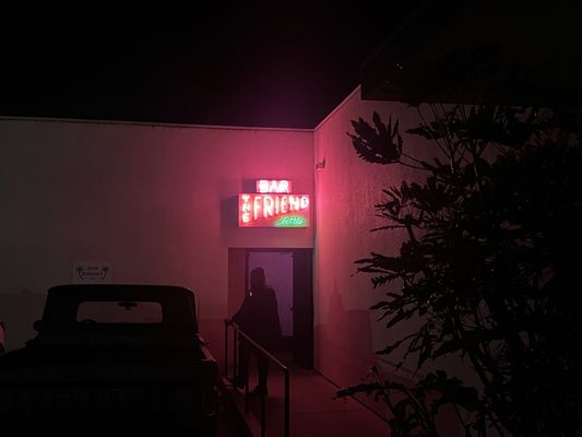 The Little Friend by null