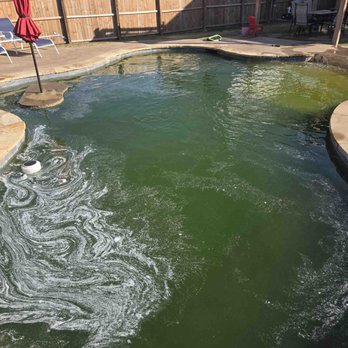 Texoma Country Pools and Spas - Pool after first day of "cleaning" Per their readings: 25% clarity - Hot Tub & Pool Near Me - Sherman, Texas Texoma Country Pools and Spas - Pool after first day of "cleaning" Per their readings: 25% clarity - Hot Tub & Pool Near Me - Sherman, Texas