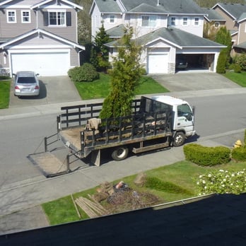Nursery trees - The truck with the last Excelsa on it. - Nurseries & Gardening Near Me - Snohomish, Washington Nursery trees - The truck with the last Excelsa on it. - Nurseries & Gardening Near Me - Snohomish, Washington