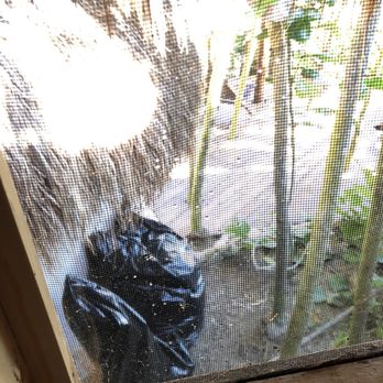 Papaya Playa Hotel - They walk across my patio area to pile trash so people are constantly walking across my "private" balcony. - Restaurants Near Me - Tulum, ROO Papaya Playa Hotel - They walk across my patio area to pile trash so people are constantly walking across my "private" balcony. - Restaurants Near Me - Tulum, ROO