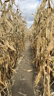 Blake's Orchard & Cider Mill by null Blake's Orchard & Cider Mill by null