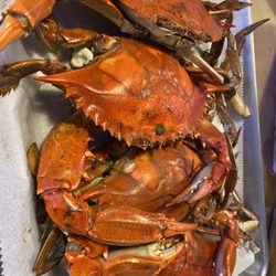 Steamed blue crabs