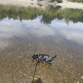 Three Forks Dog Park - Clean! - Dog Parks Near Me - Snoqualmie, Washington Three Forks Dog Park - Clean! - Dog Parks Near Me - Snoqualmie, Washington