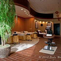 Life Studio