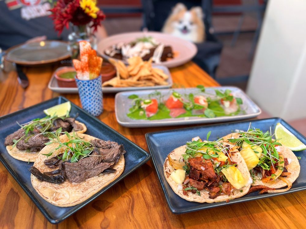 COPITA TEQUILERIA Y COMIDA 221 Photos & 104 Reviews 1098 Lincoln