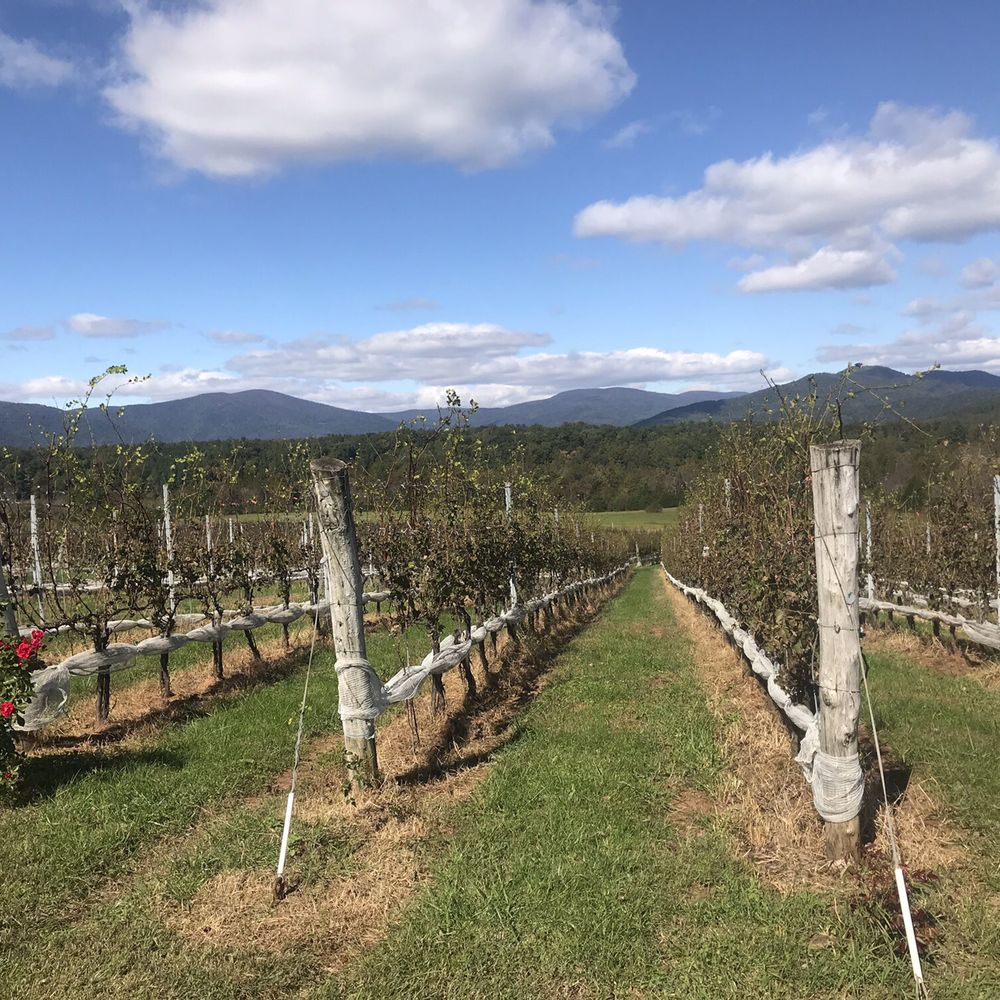 Stinson Vineyards - Wineries Near Me - Crozet, Virginia Stinson Vineyards - Wineries Near Me - Crozet, Virginia