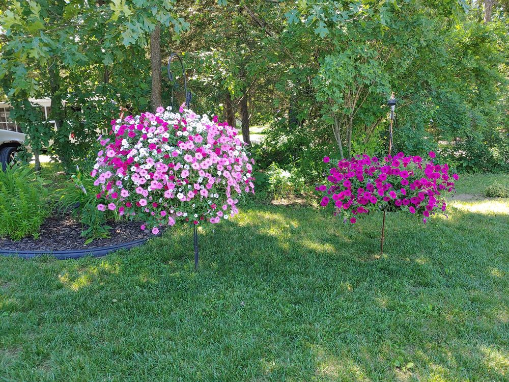 O’MALLEY’S GREENHOUSE & GIFTS Updated July 2024 N3264 State Rd 22, Montello, Wisconsin