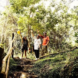 Koox Diving - Tour the Tulum (Q.R.) area