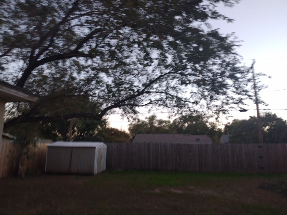 Slide of True Care Services