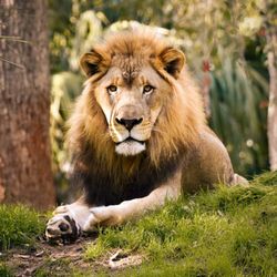 user provided Jacksonville Zoo and Gardens photo