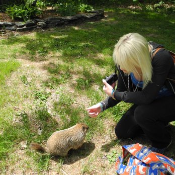 Intuitive Libby - Making a new friend while at Shaman School. - Psychic Mediums Near Me Intuitive Libby - Making a new friend while at Shaman School. - Psychic Mediums Near Me