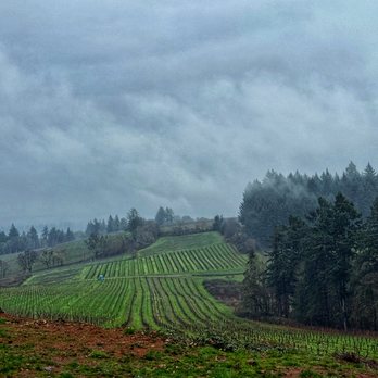 Evening Land - Evening Land Vineyards: Seven Springs Vineyard - Wineries Near Me - Salem, Oregon Evening Land - Evening Land Vineyards: Seven Springs Vineyard - Wineries Near Me - Salem, Oregon