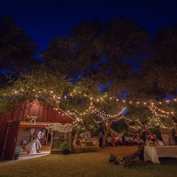 Bastrop Stories - Web Design Near Me