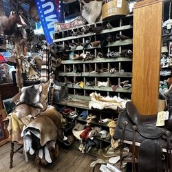 Crosseyed Moose Antique - So many things!