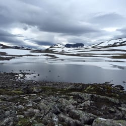 Nordic Ventures - Fantastic environment (this is August) after hiking up to the top of the fjord wall.