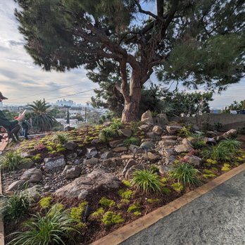 The Standard Design Group Nurseries - Installed a Water Feature, River Rock, Japanese Maples, Lighting, Mulch, Timber Edging, and Irrigation. - Nurseries & Gardening Near Me - Upland, California The Standard Design Group Nurseries - Installed a Water Feature, River Rock, Japanese Maples, Lighting, Mulch, Timber Edging, and Irrigation. - Nurseries & Gardening Near Me - Upland, California