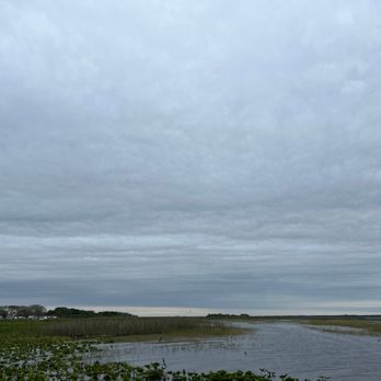 Wild Willy's Airboat Tours - Boat Tours Near Me - Saint Cloud, Florida
