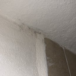 Mold in the corner of our shower