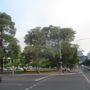Photo of Hindmarsh Square