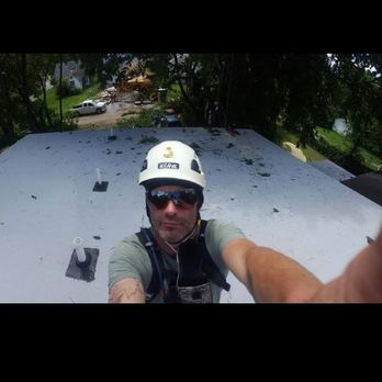 Price Tree Care - Love this job - Tree Services Near Me - Nashville, Tennessee Price Tree Care - Love this job - Tree Services Near Me - Nashville, Tennessee