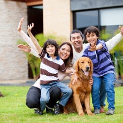 DM Carpet Cleaning