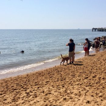 Downs Park and Dog Beach - Dog Parks Near Me - Pasadena, Maryland