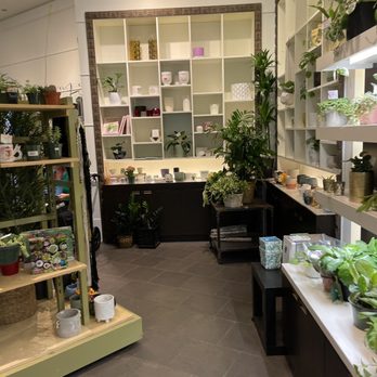 The Potting Bench Plant Studio - Nurseries & Gardening Near Me - Chicago, Illinois