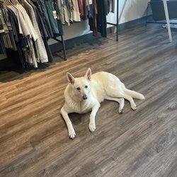 T-Dub's Mercantile - She is such a sweet and beautiful dog!