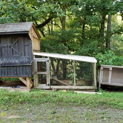 Willow Pond Stables