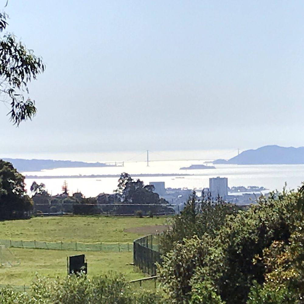 Caldecott Field - The field and the view - Hiking Near Me - Oakland, California