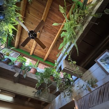 The Shed - New Mexican Cuisine Near Me - Santa Fe, New Mexico The Shed - New Mexican Cuisine Near Me - Santa Fe, New Mexico