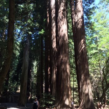 boon hotel + spa - Armstrong Woods is a short bike ride down the road - Hotels Near Me - Guerneville, California