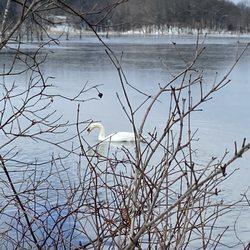 Portman Nature Preserve