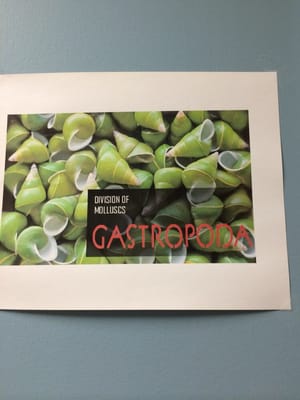 Museum of Biological Diversity