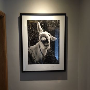 Hotel Isaacs Cork - Fun art throughout the property - Hotels Near Me - Cork, Colorado