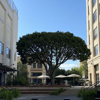 ROW DTLA - Love this view with Pizzeria Bianco behind the tree - Shopping Centers Near Me - Los Angeles, California ROW DTLA - Love this view with Pizzeria Bianco behind the tree - Shopping Centers Near Me - Los Angeles, California