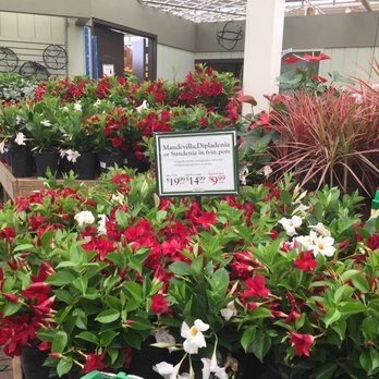 Hicks Nurseries - Nurseries & Gardening Near Me - Westbury, New York